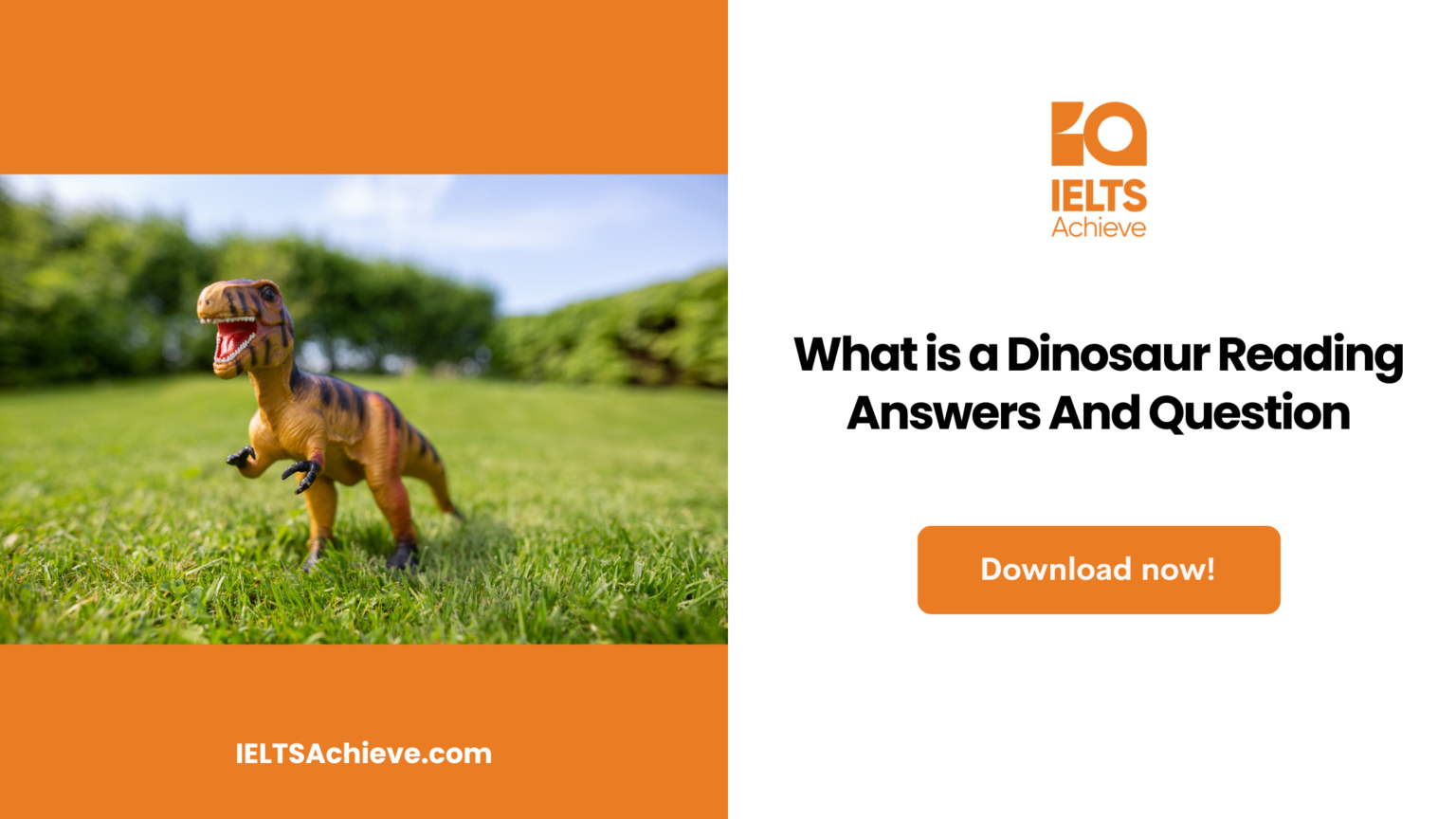 What is a Dinosaur Reading Answers And Question
