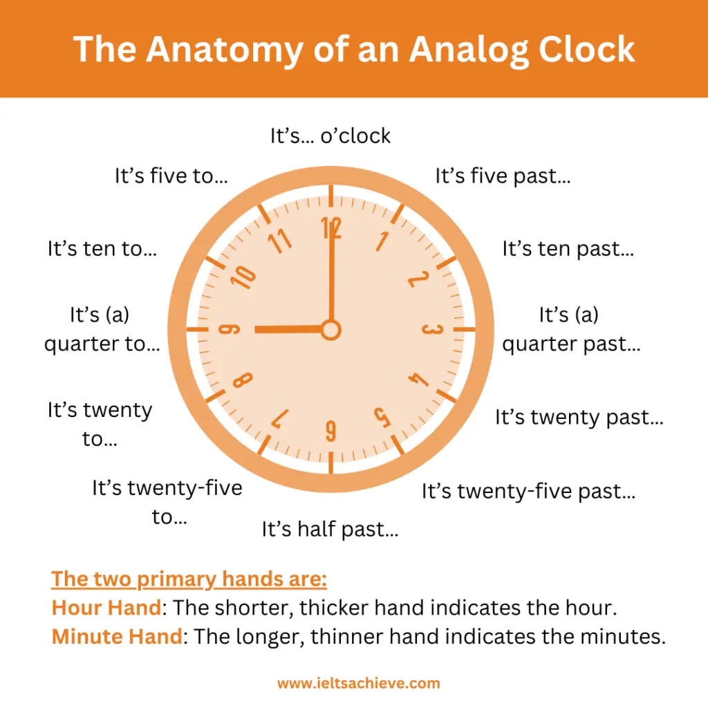 The Anatomy of an Analog Clock